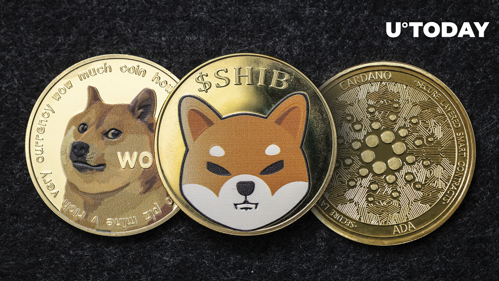 این شاخص نشان می دهد که Shiba Inu (SHIB)، Cardano (ADA) و Dogecoin (DOGE) کمتر از ارزش گذاری شده اند.