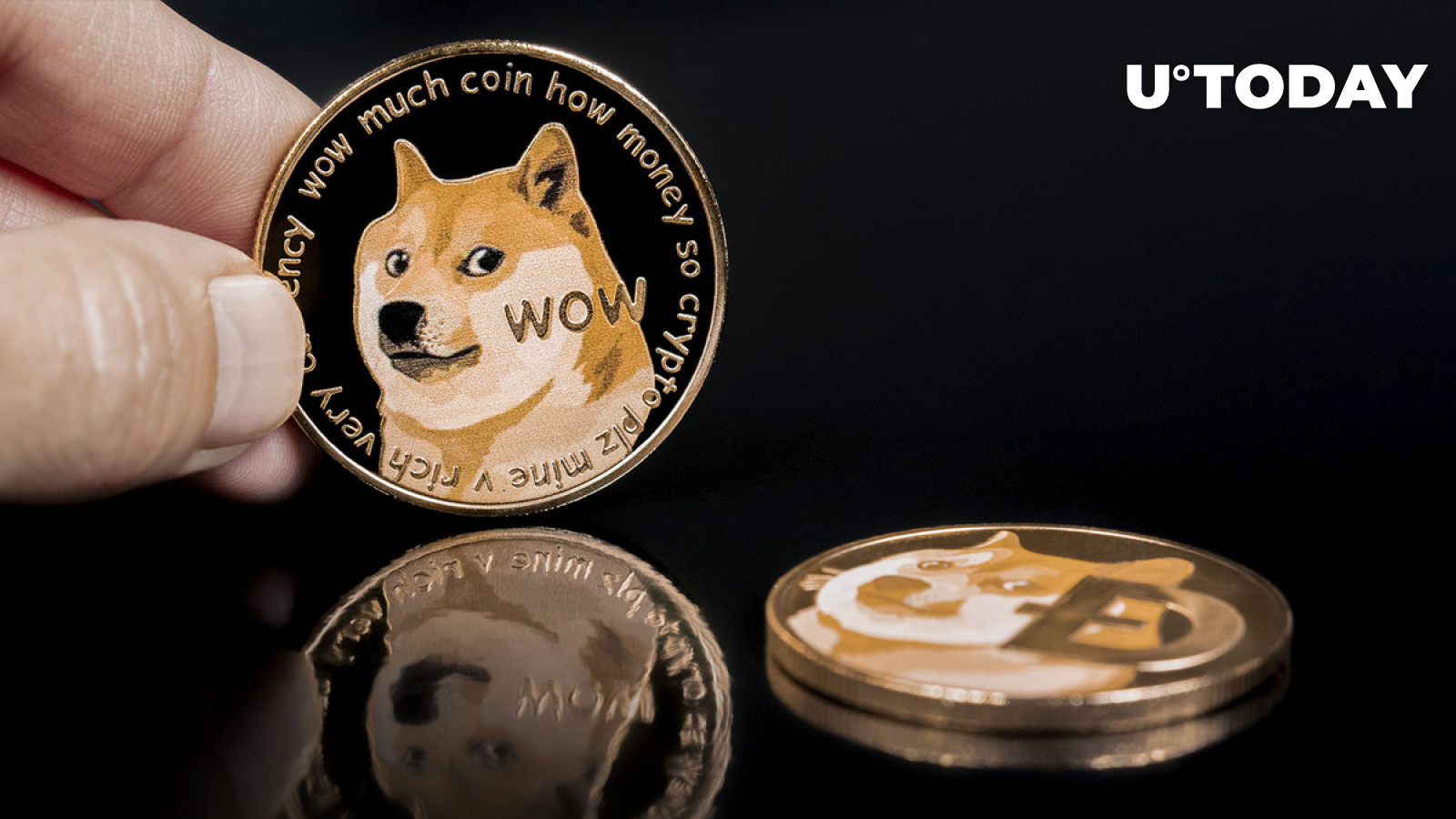 یکی از بنیانگذاران Doge پیشنهاد می کند که Crypto Moguls کوتاه کردن Dogecoin احتمالاً ضرر خواهد کرد، در اینجا دلیل آن است