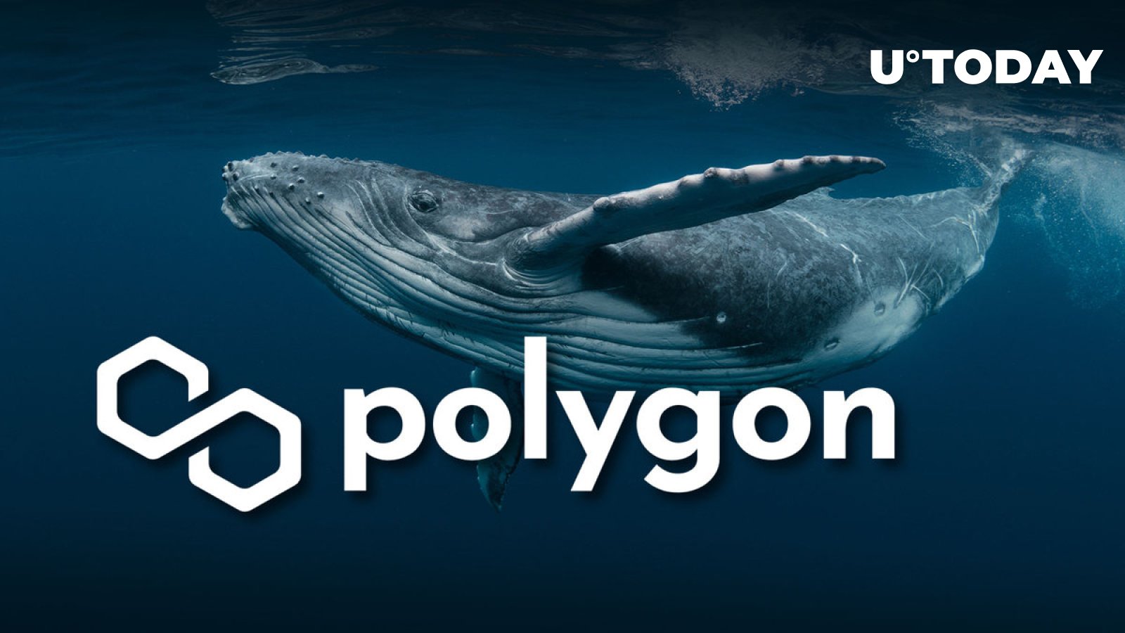 Polygon (MATIC) Ancient Whale Drops His Holdings, Here’s Why