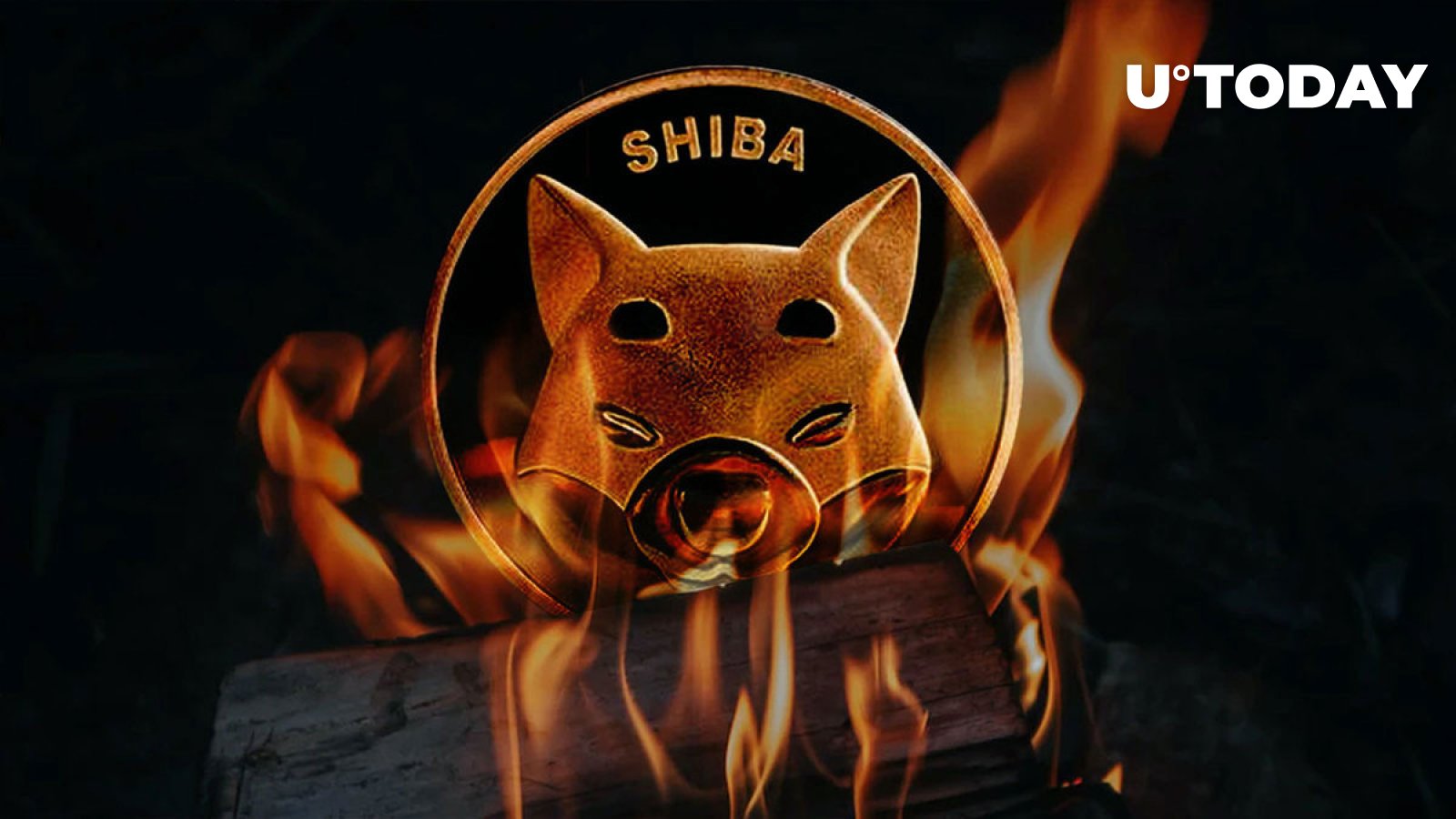 Here’s How Shiba Inu (SHIB) Burn Rate Reacts to 20% Price Spike