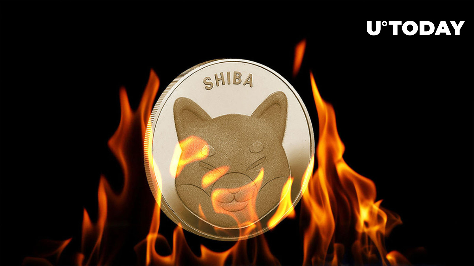 سوختگی هفتگی Shiba Inu ضعیف به نظر می رسد، اما نرخ سوختگی SHIB در طول شب 150٪ می پرد