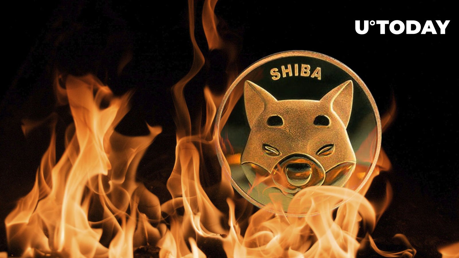 Here’s SHIB Burn Rate’s Reaction to Recent Shiba Inu Price Performance