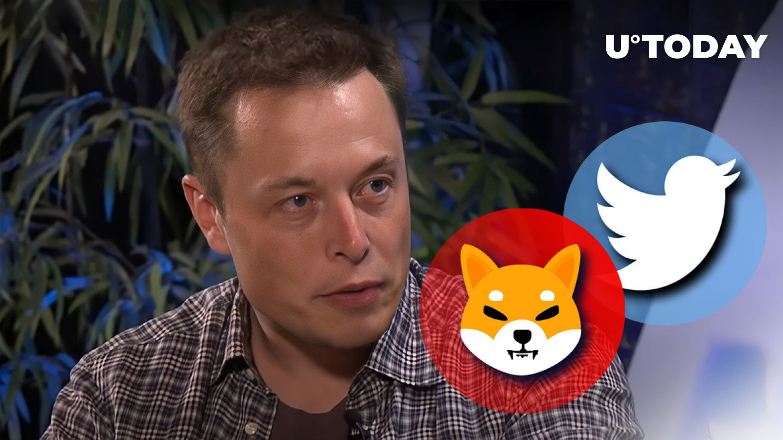 Elon Musk and Shytoshi Kusama Post Same Symbol on Twitter, Community Puzzled