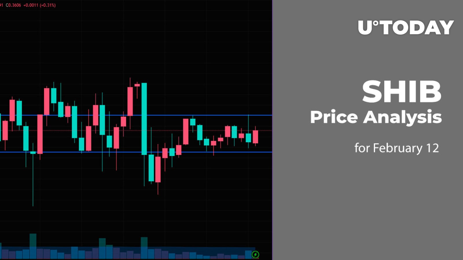 SHIB Price Analysis for February 12