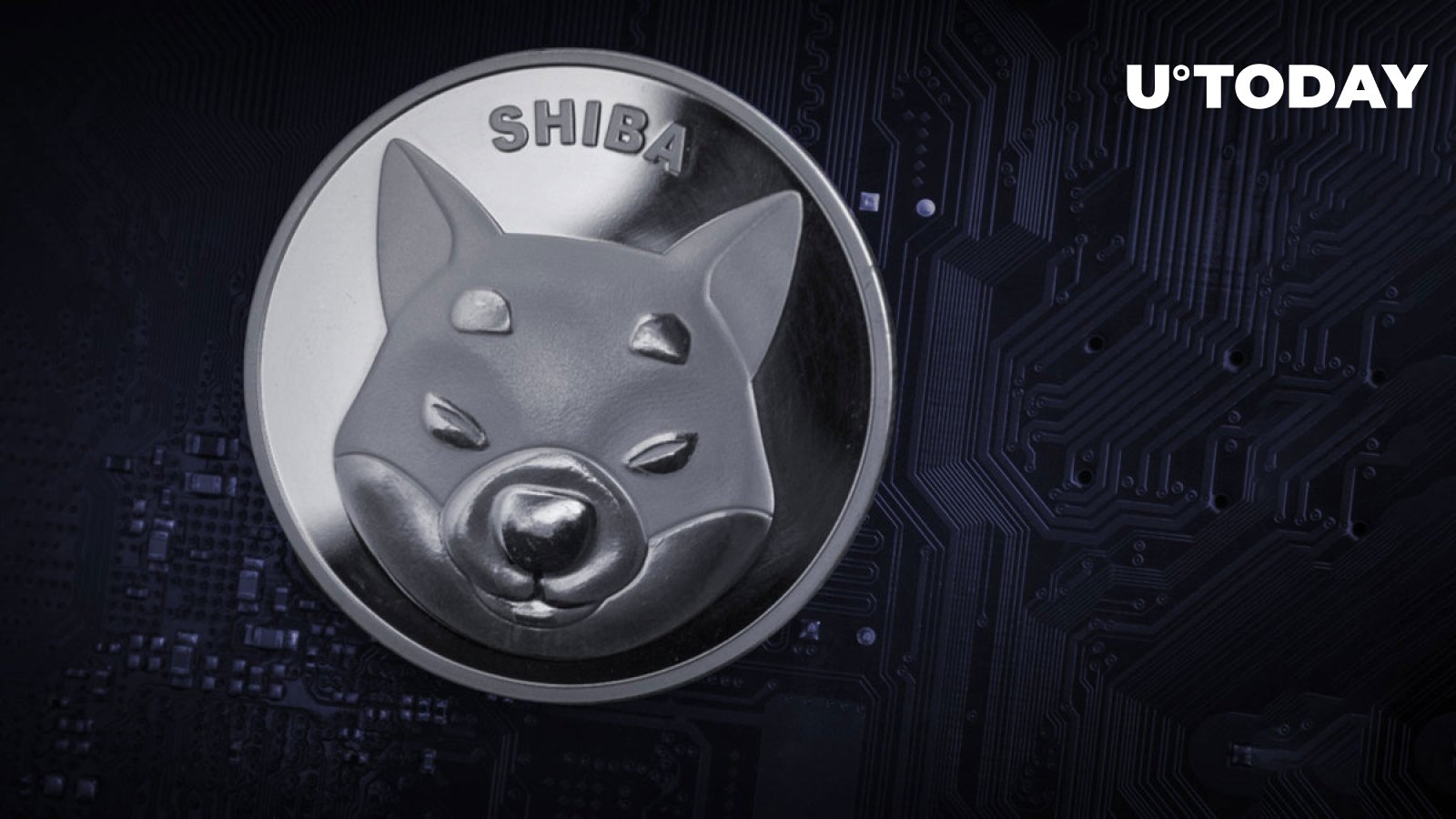 223 Billion Shiba Inu Acquired as Lead SHIB Developer Raises His Head About Shibarium