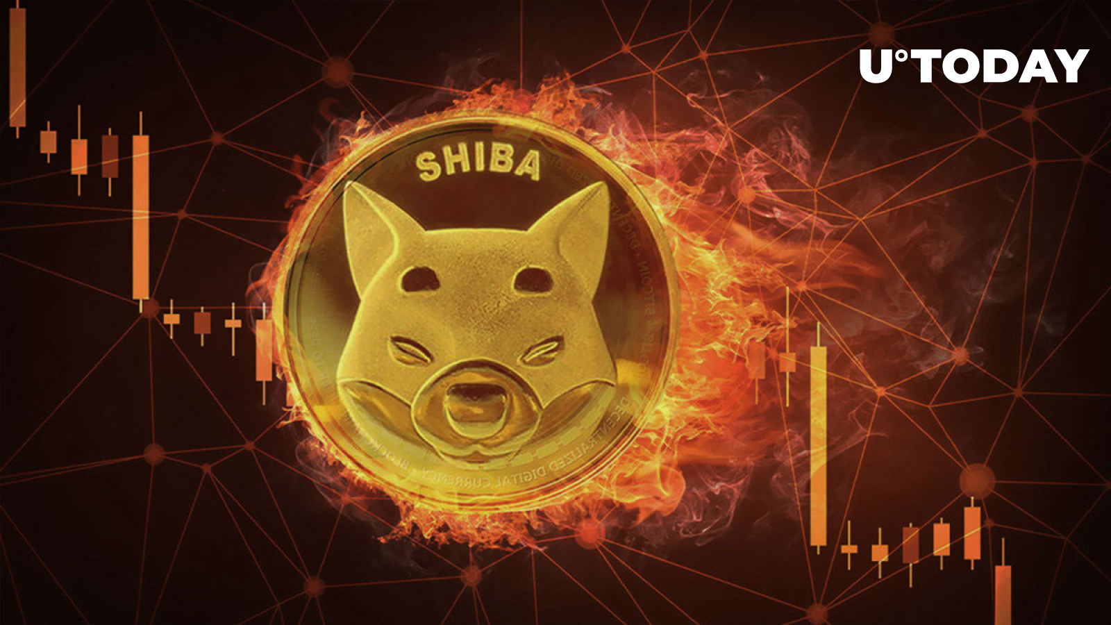 نرخ سوختگی SHIB با ادامه قرمز ماندن قیمت Shiba Inu کاهش می یابد