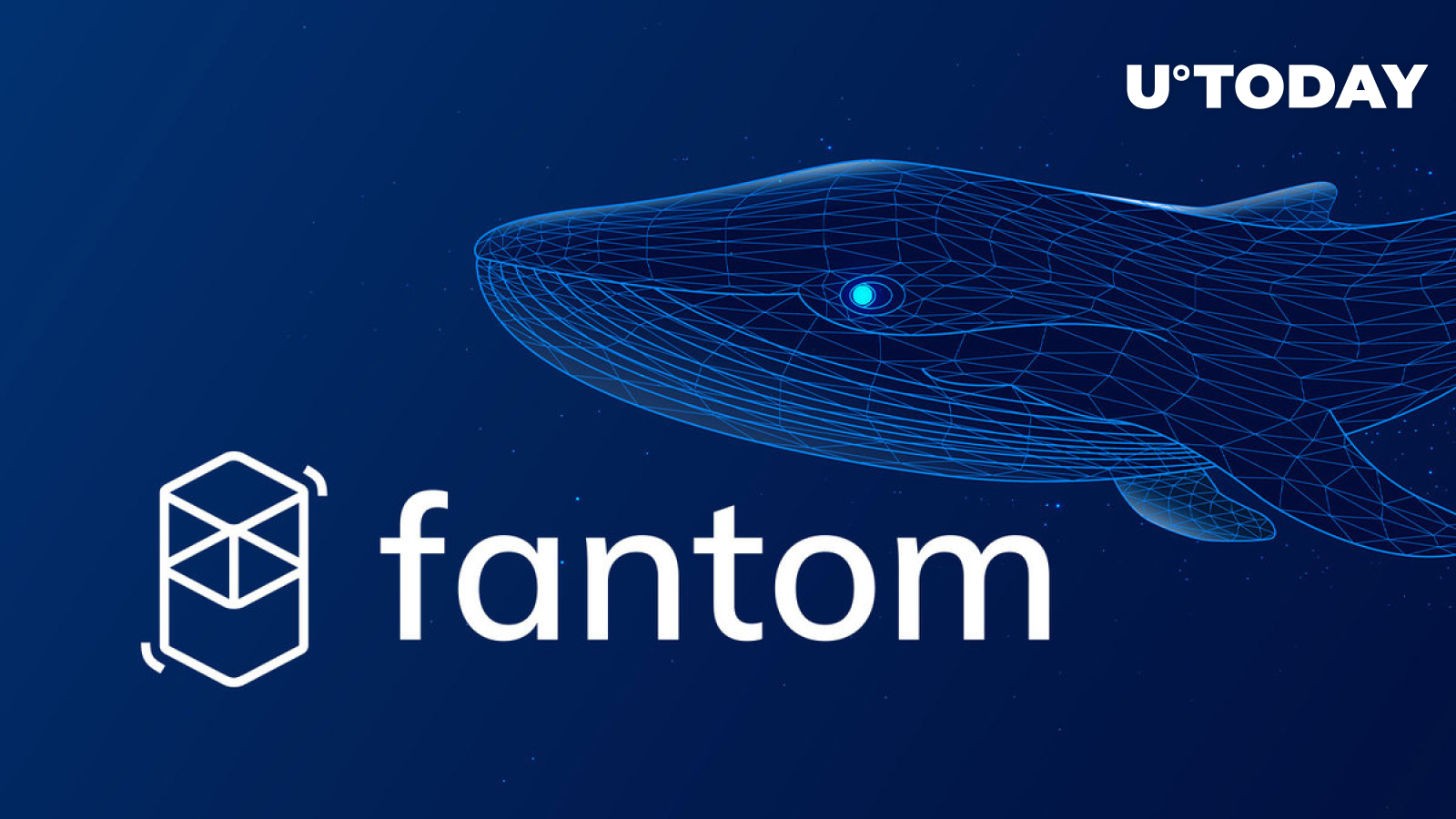 Fantom (FTM) 11٪ افزایش در میان زباله نهنگ، در اینجا دلیل است