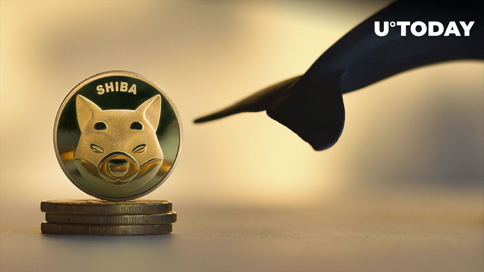 384 میلیارد Shiba Inu توسط Major SHIB Whale قبل از عرضه Shibarium آینده خریداری شد