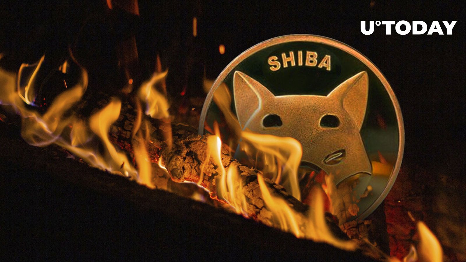 Shiba Inu (SHIB) Burn Rate Continues to Decline, Here’s What May Be Keeping It Down