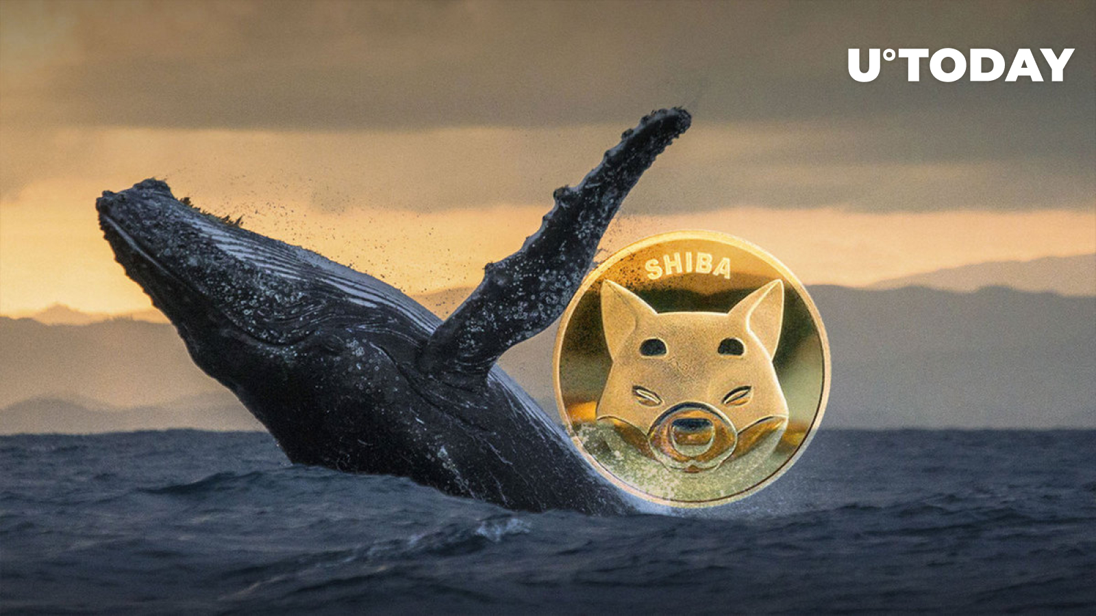 92 میلیارد SHIB اضافه شده توسط Major Shiba Inu Whale.  او اکنون 1.1 تریلیون SHIB دارد
