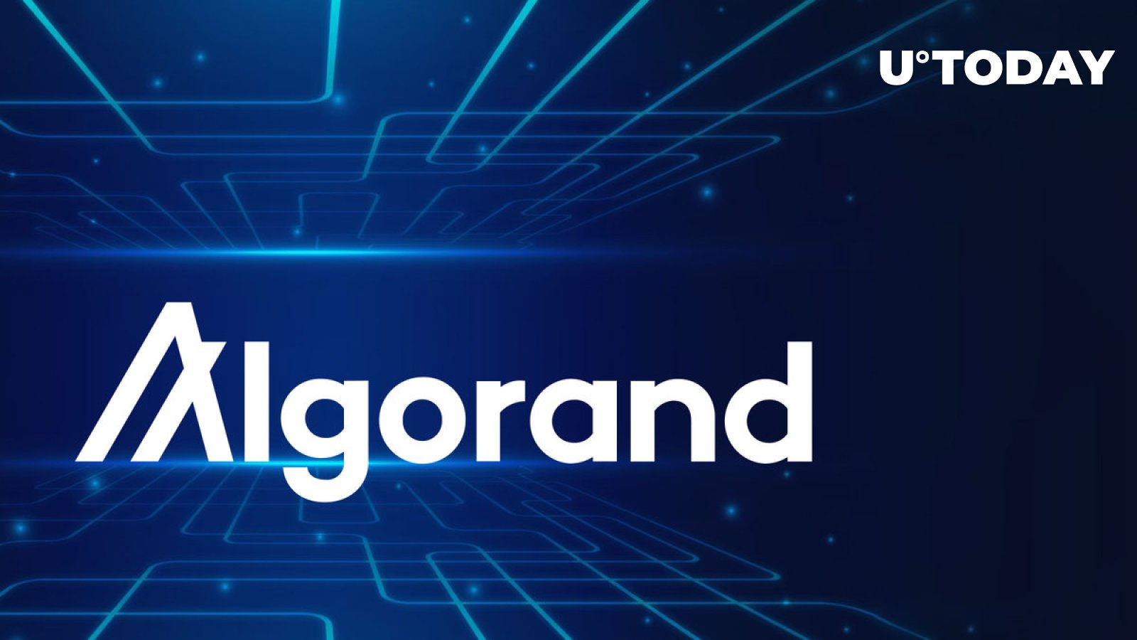 Algorand (ALGO) CTO به روز رسانی در مورد اکسپلویت اخیر که چندین حساب را تحت تأثیر قرار می دهد