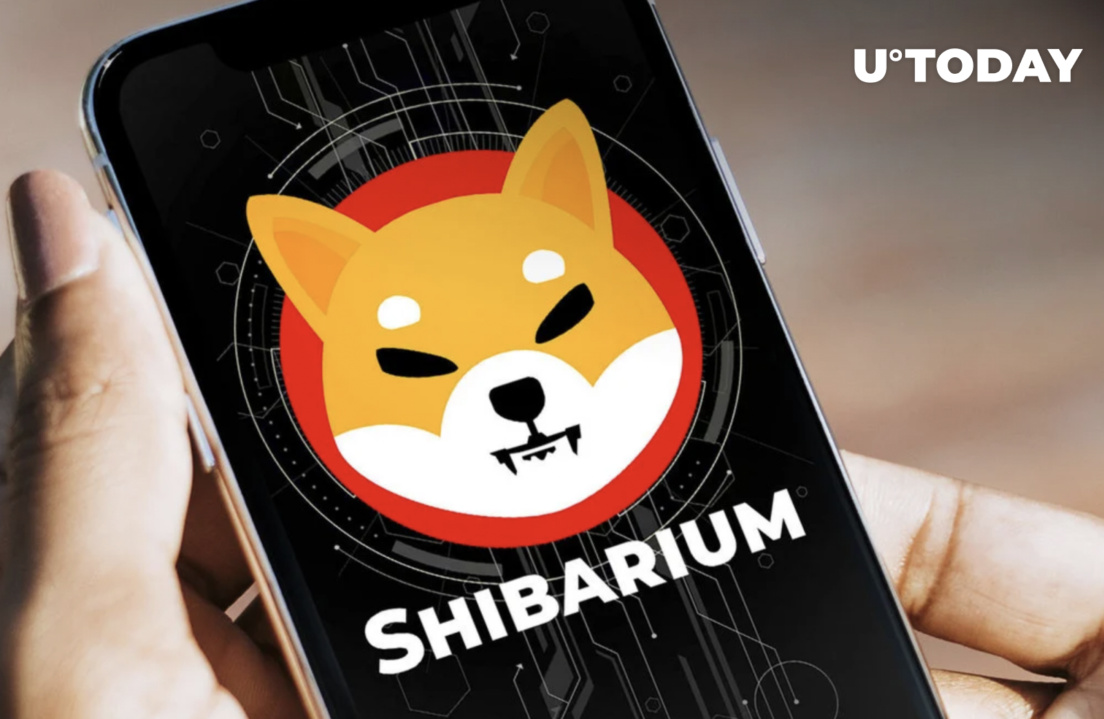 Shibarium Public Beta این هفته راه اندازی می شود