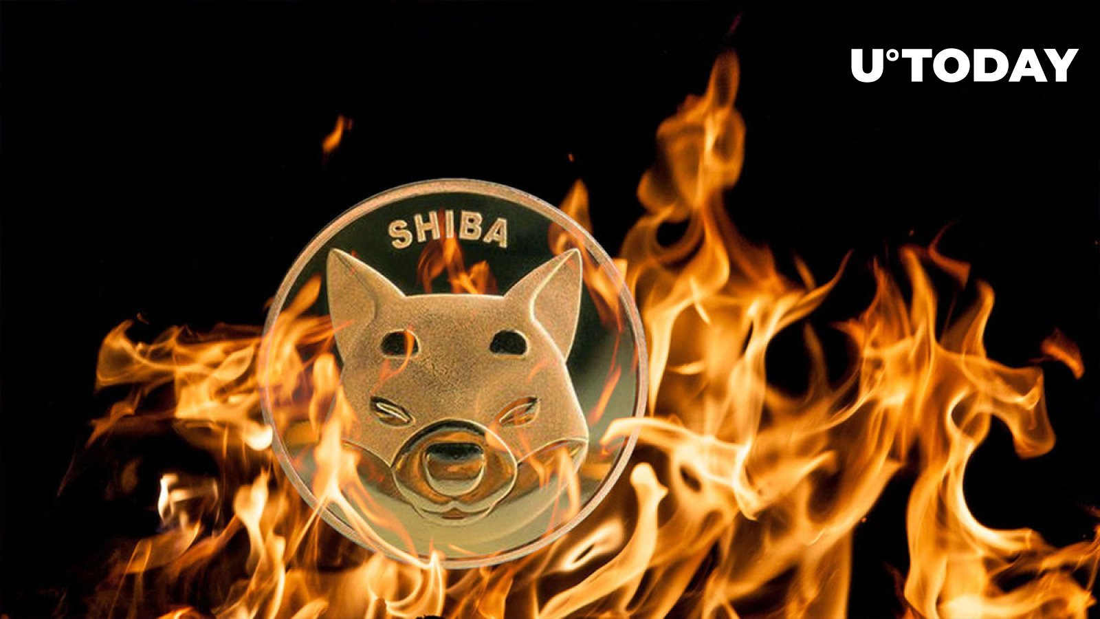 Shiba Inu (SHIB) Burn Rate Up 840%, Here's What This Means for Price
