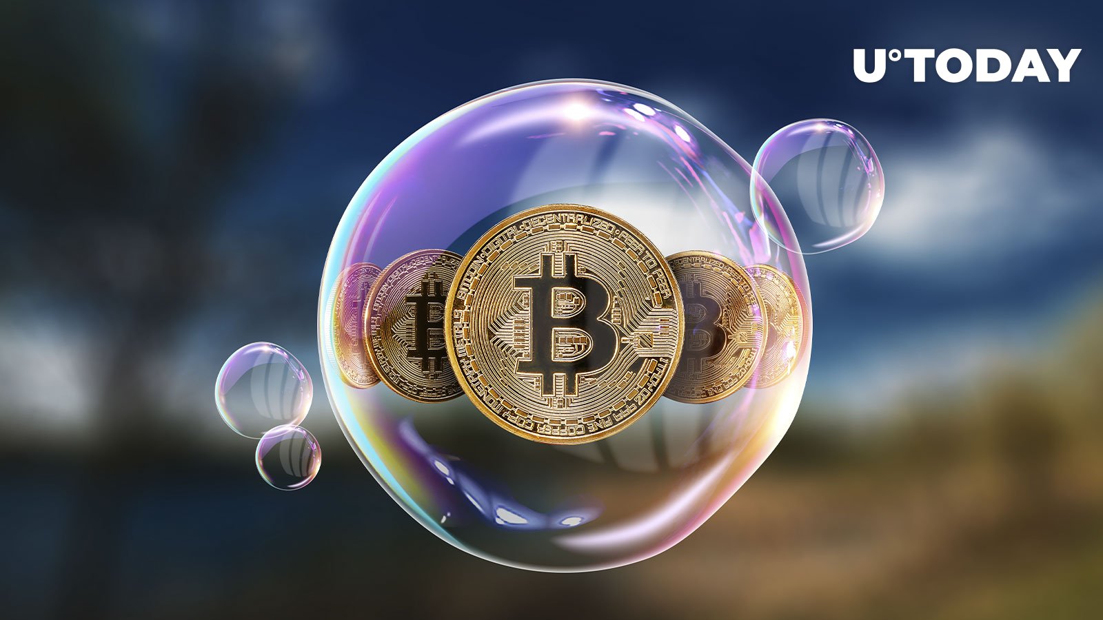 Bitcoin (BTC) Just Another Bubble: IFF Economist