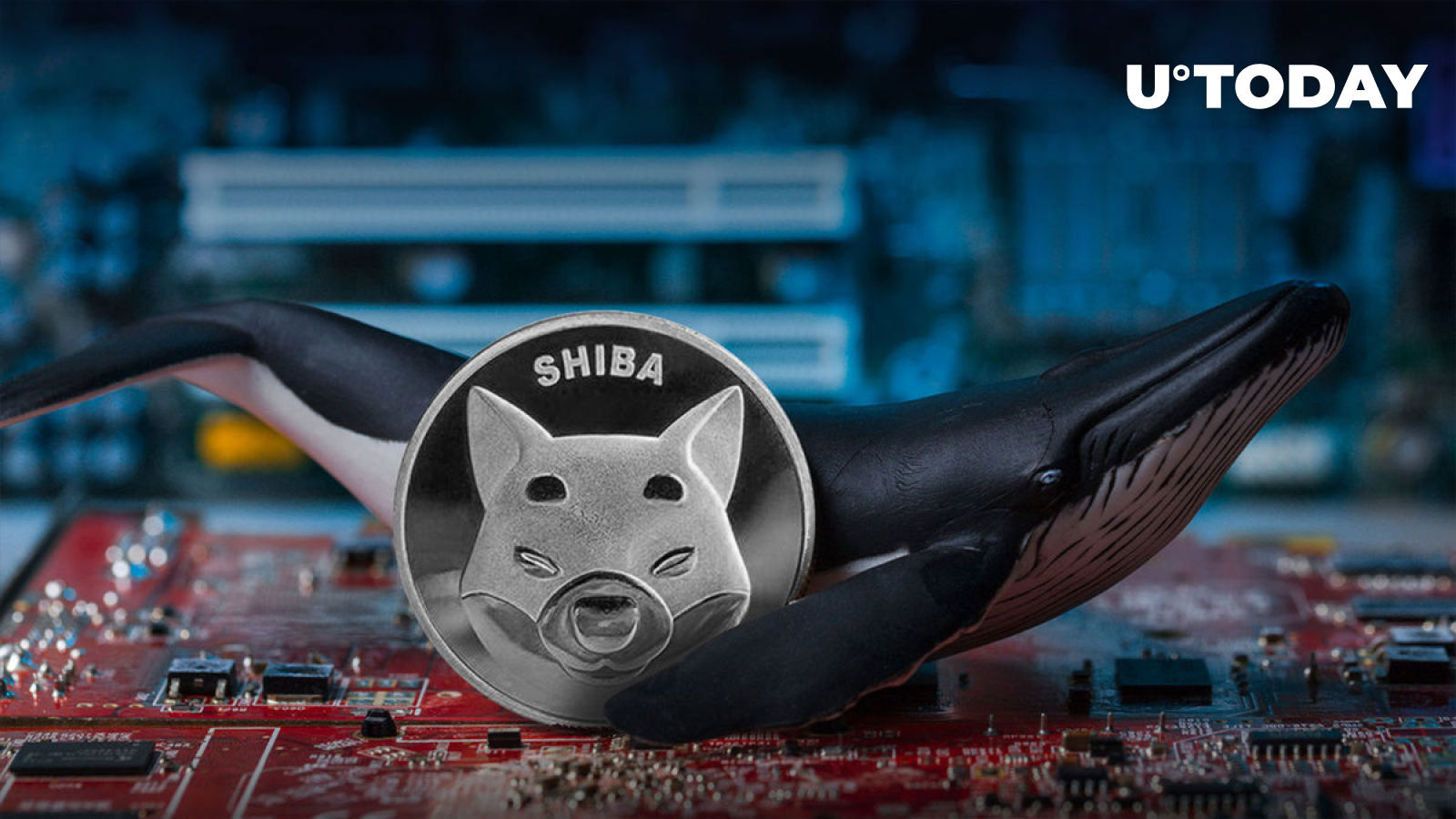 Shiba Inu (SHIB) Whales Waking Up Into New Month as This Metric Spikes 228%