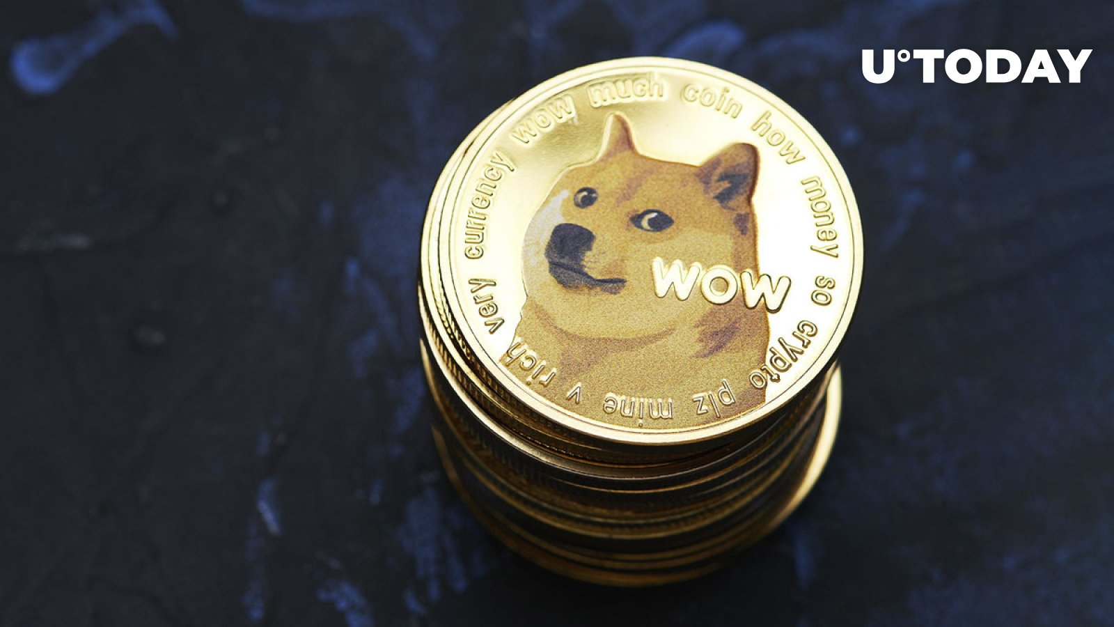 DOGE Co-Founder Reveals How Much Dogecoin He Owns