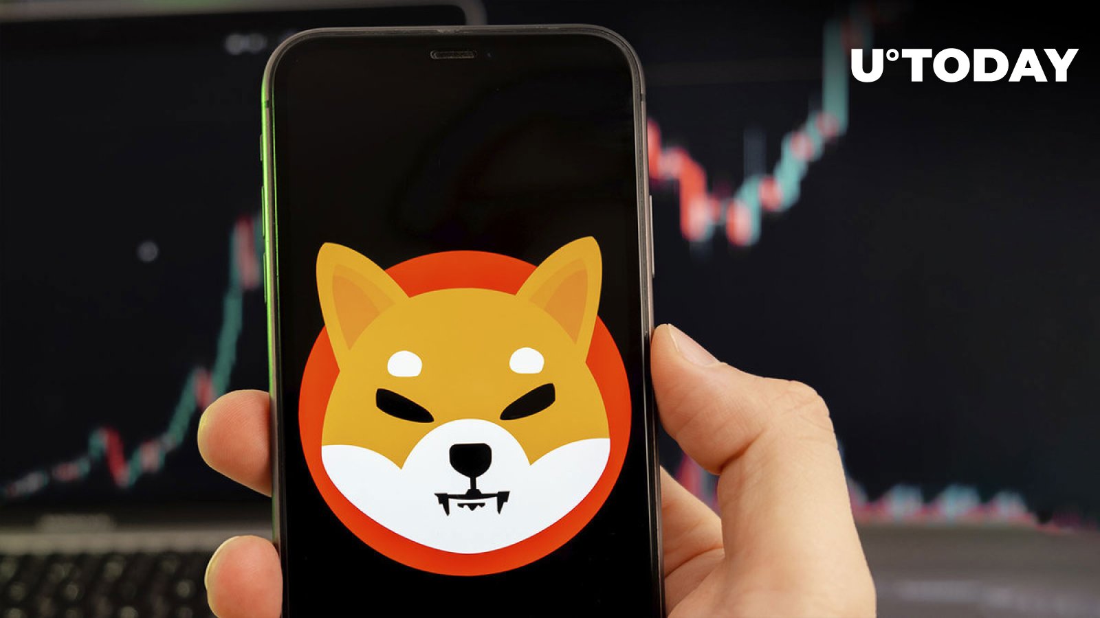 تراکنش‌های Shiba Inu Eyes تا 1 میلیون دلار به دنبال SHIB Price Action افزایش یافت، اما چیز دیگری وجود دارد