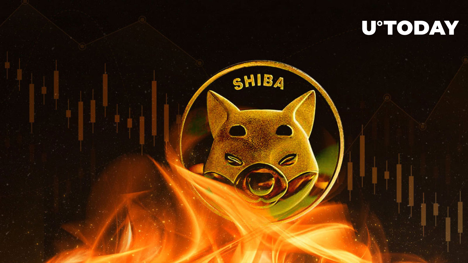 Shiba burning