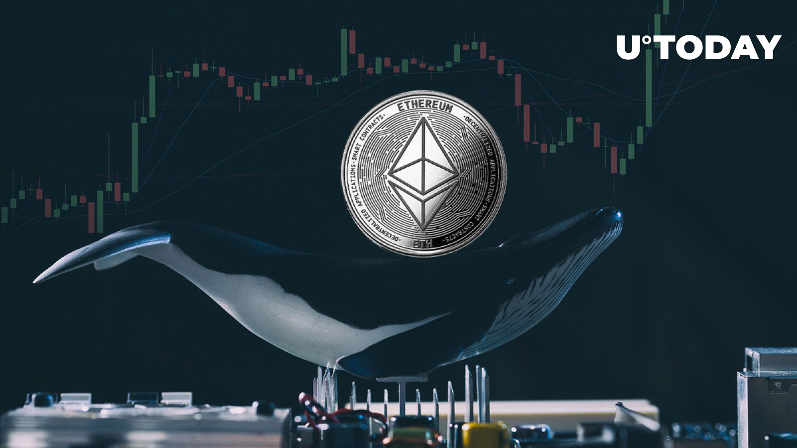 mysterious-investor-scoops-up-usd50-million-in-ethereum-eth-what-s-their-next-move