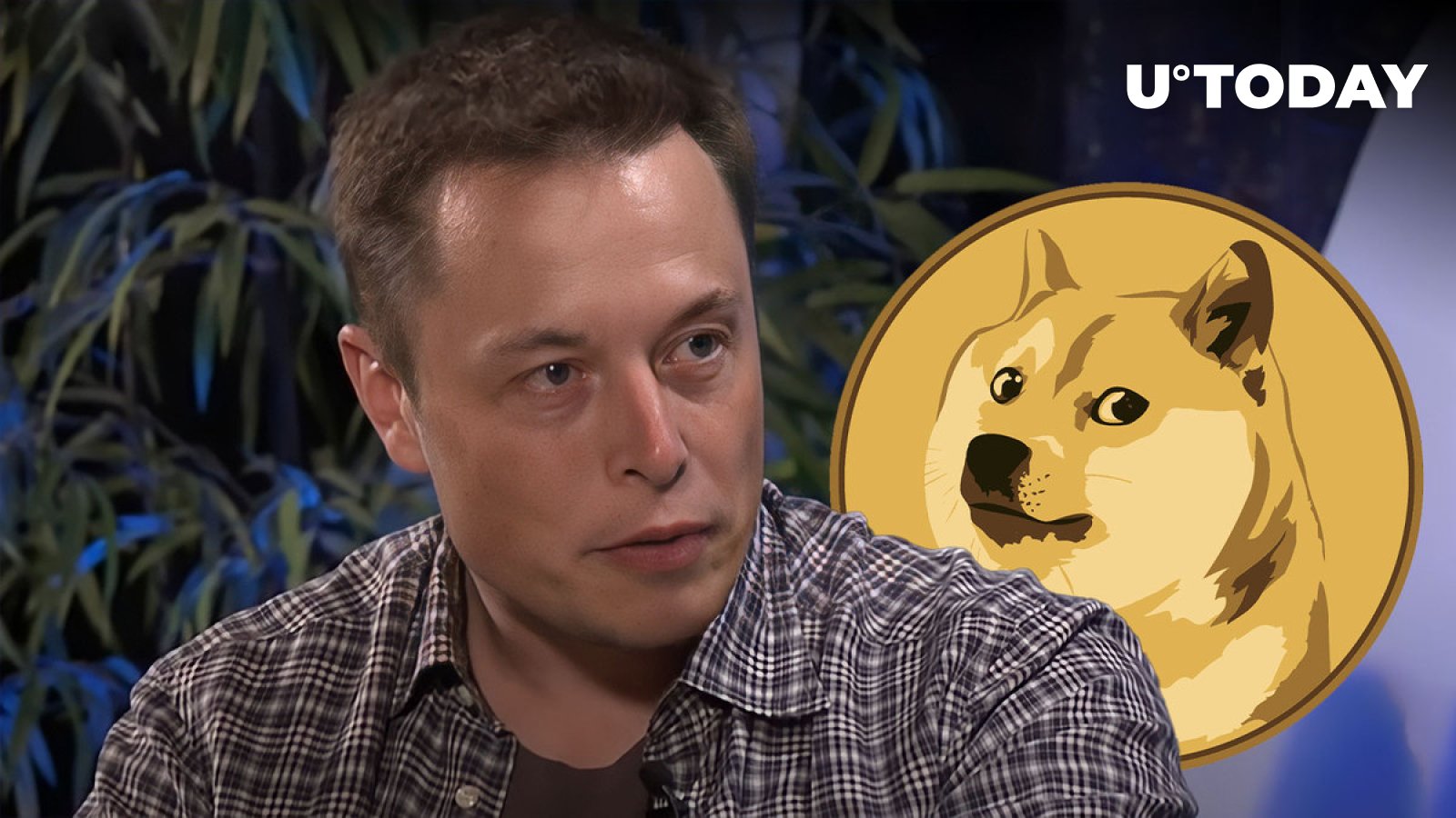 Elon Musk's $1M Dogecoin Challenge Backfires - Business News