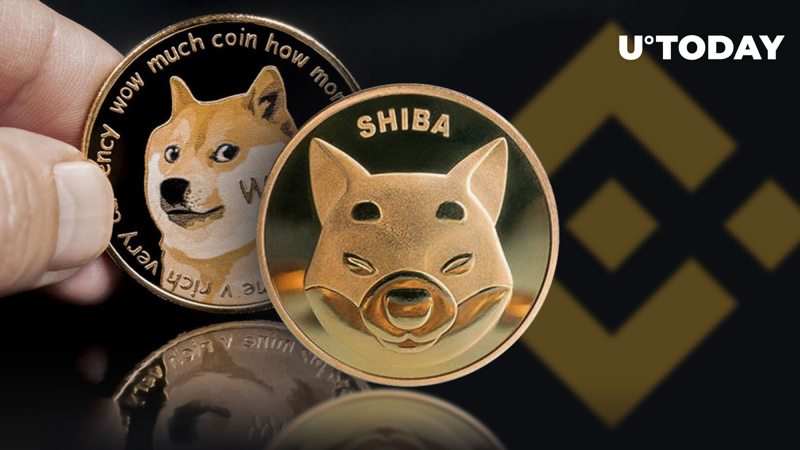 Binance Liquid Swap Adds SHIB/DOGE Liquid Pool and 6 More Assets