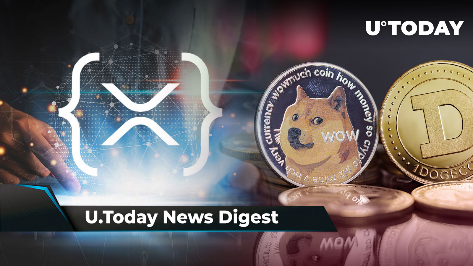 XRPL Accelerator Program Launches, 37 Billion DOGE at Risk If Price ...