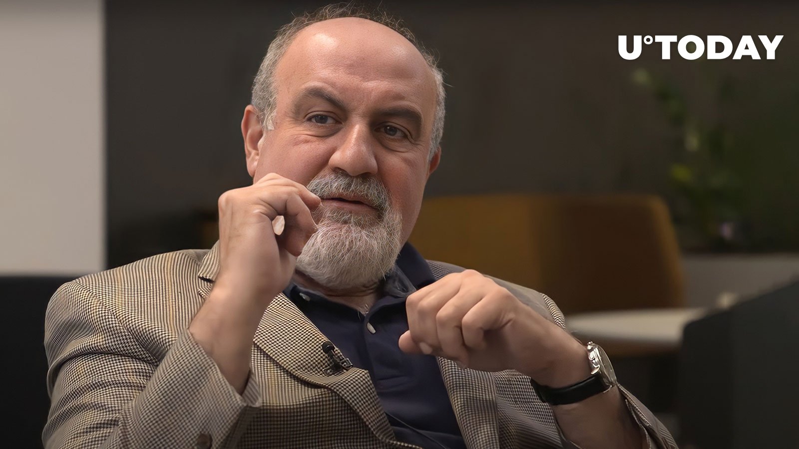 ‘Black Swan’ Author Names Crypto Market’s Main Weak Point