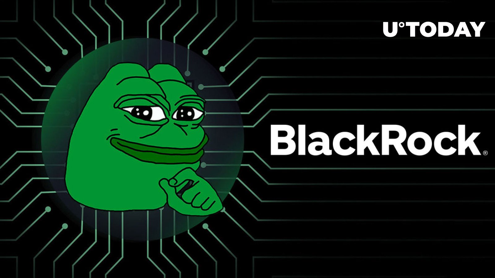 blackrock-s-involvement-with-pepe-can-be-explained-now-details