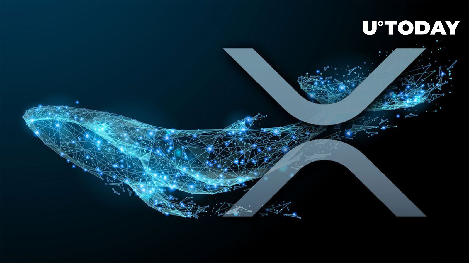 52 Million XRP Bought by Whales in Last 3 Weeks as They Turn Bullish 52 Million XRP Bought by Whales in Last 3 Weeks as They Turn Bullish
