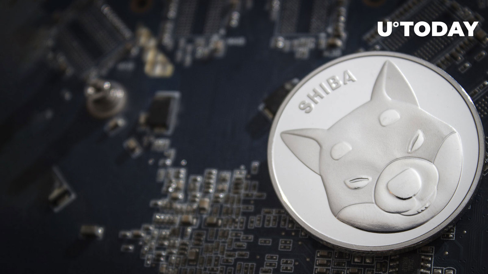 Shiba Inu (SHIB) ‘Calm Before Storm’ Updates Revealed by Shiba Ecosystem Official