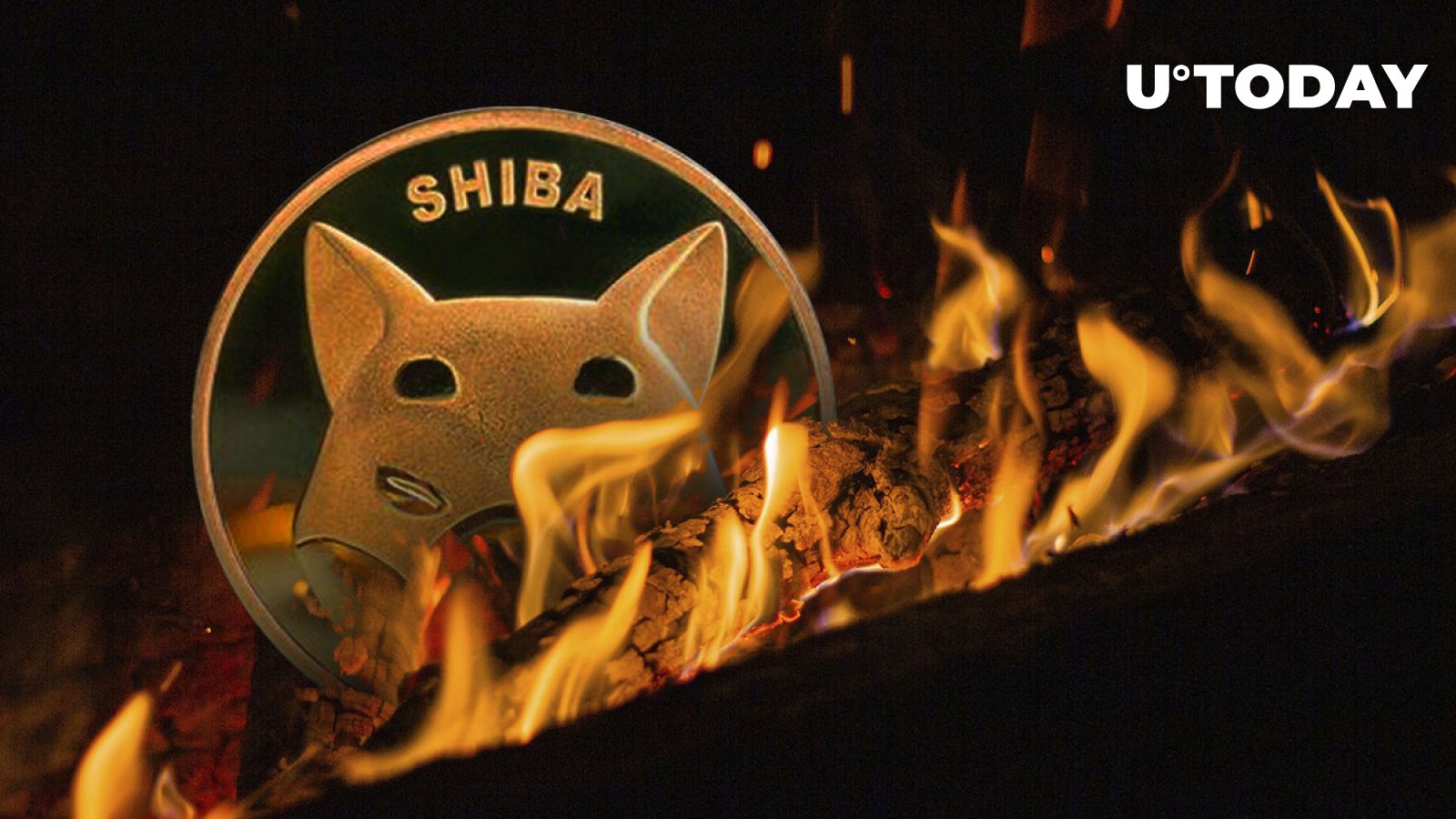 shiba-inu-shib-burn-rate-hits-1-619-increase-price-reaction