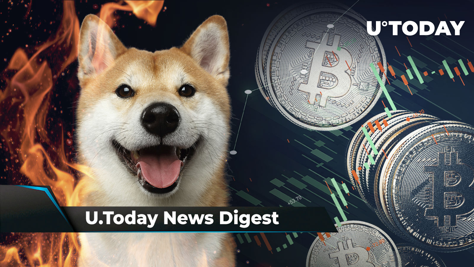 XRP and SHIB Aim to Punish Bears, BTC May Hit $50,000 By Year's End, SHIB Burn Rate up 3,808%: Crypto News Digest by U.Today