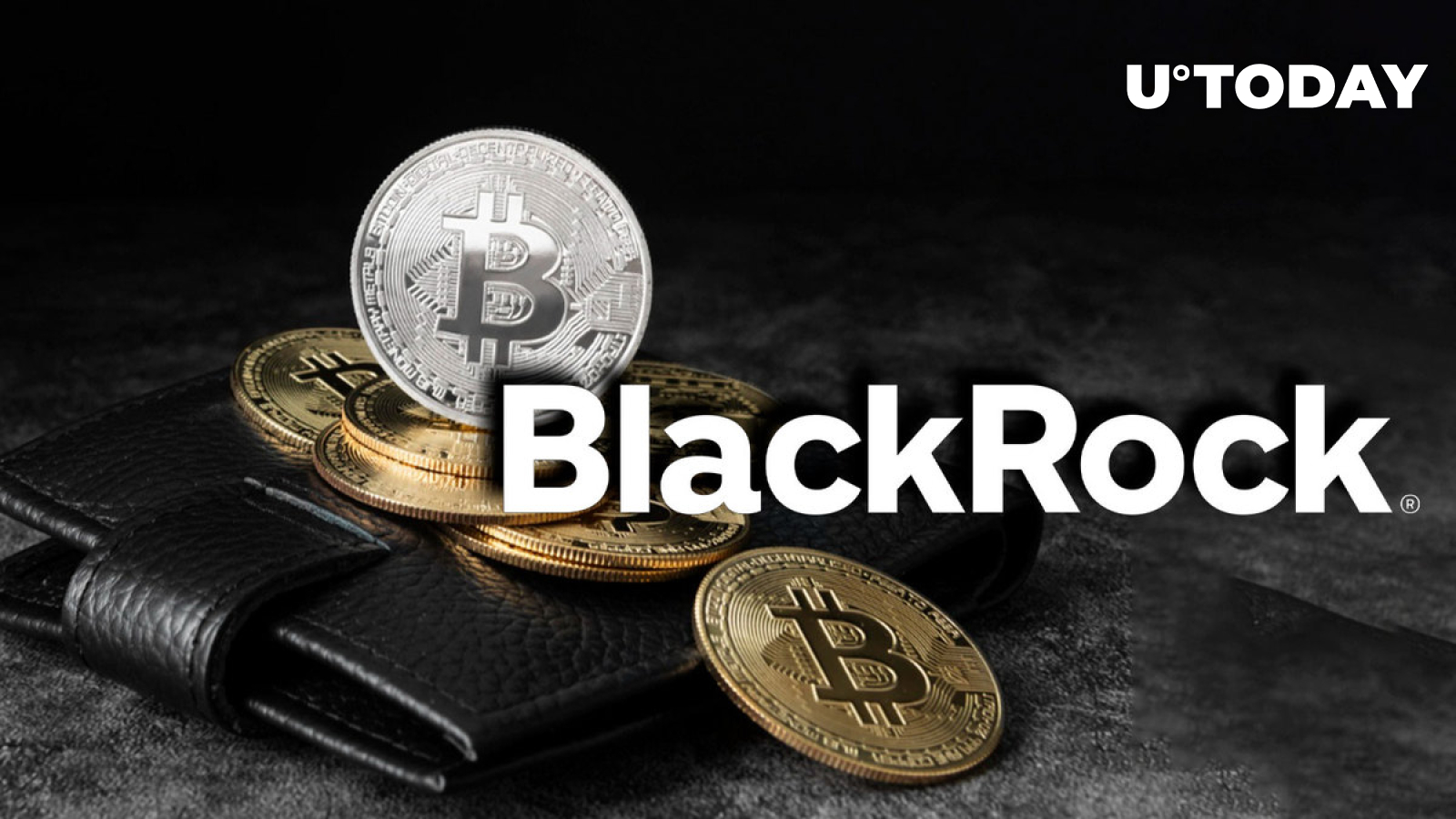 BlackRock Names Optimal Bitcoin Share In Investor's Risk Portfolio ...