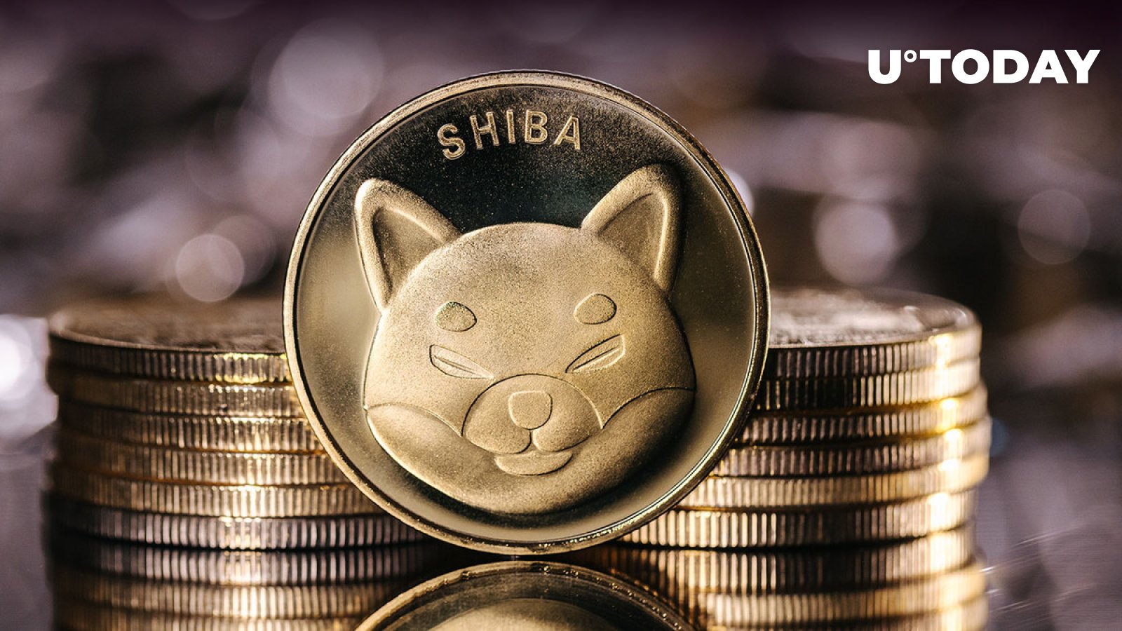 1.11 Trillion Shiba Inu (SHIB) Added by Large Players in Epic Accumulation Spree
