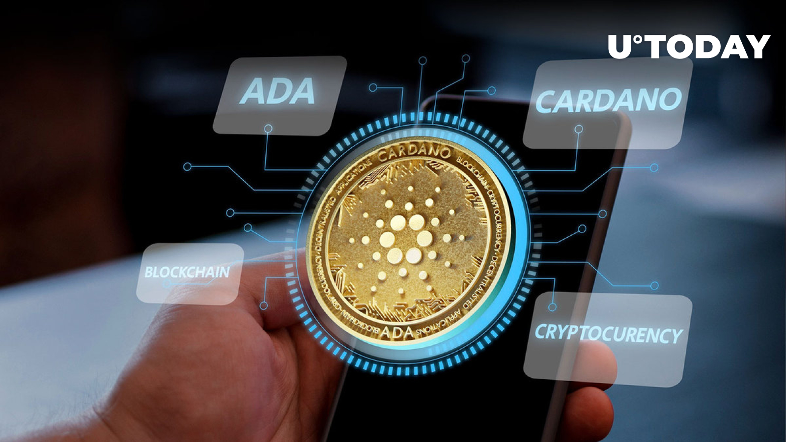 Cardano's Project Catalyst Open to Public for Review Details