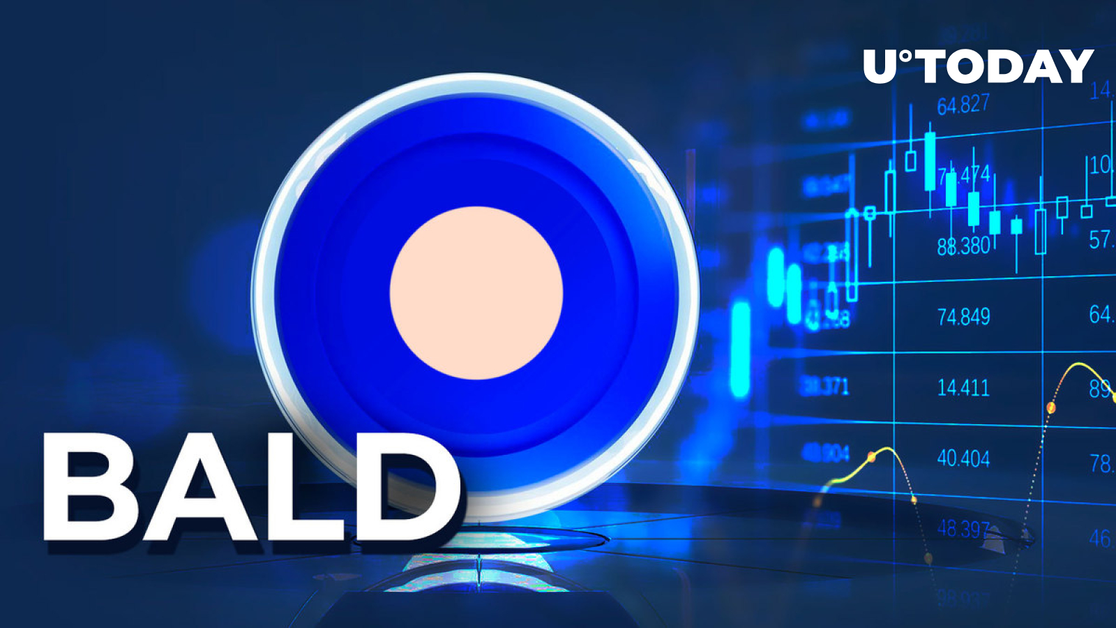 Here's How Much BALD Creator Made on His Rugpull