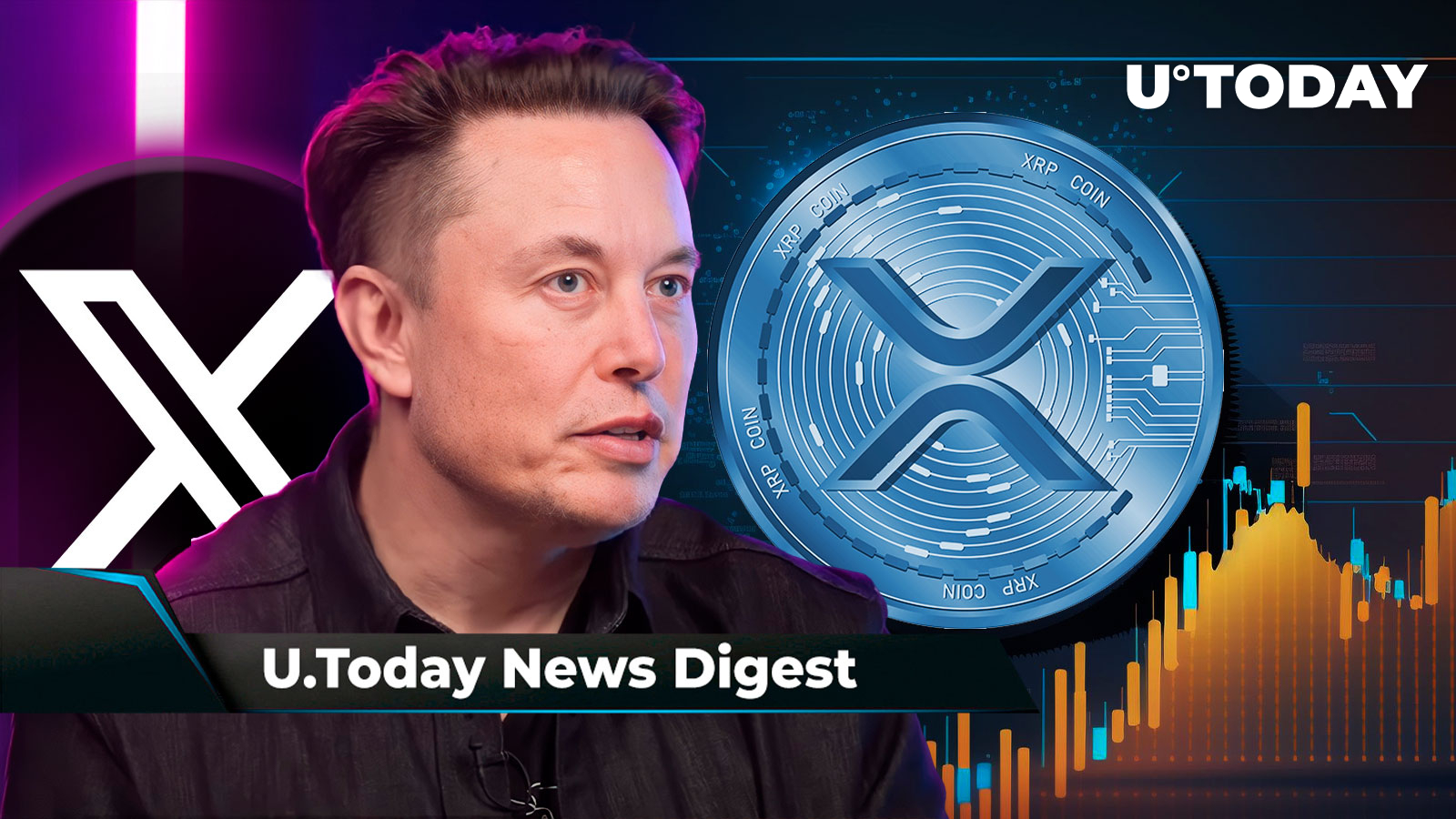 XRP 12 Reversal More Than Possible Elon Musk Says X Will Never 