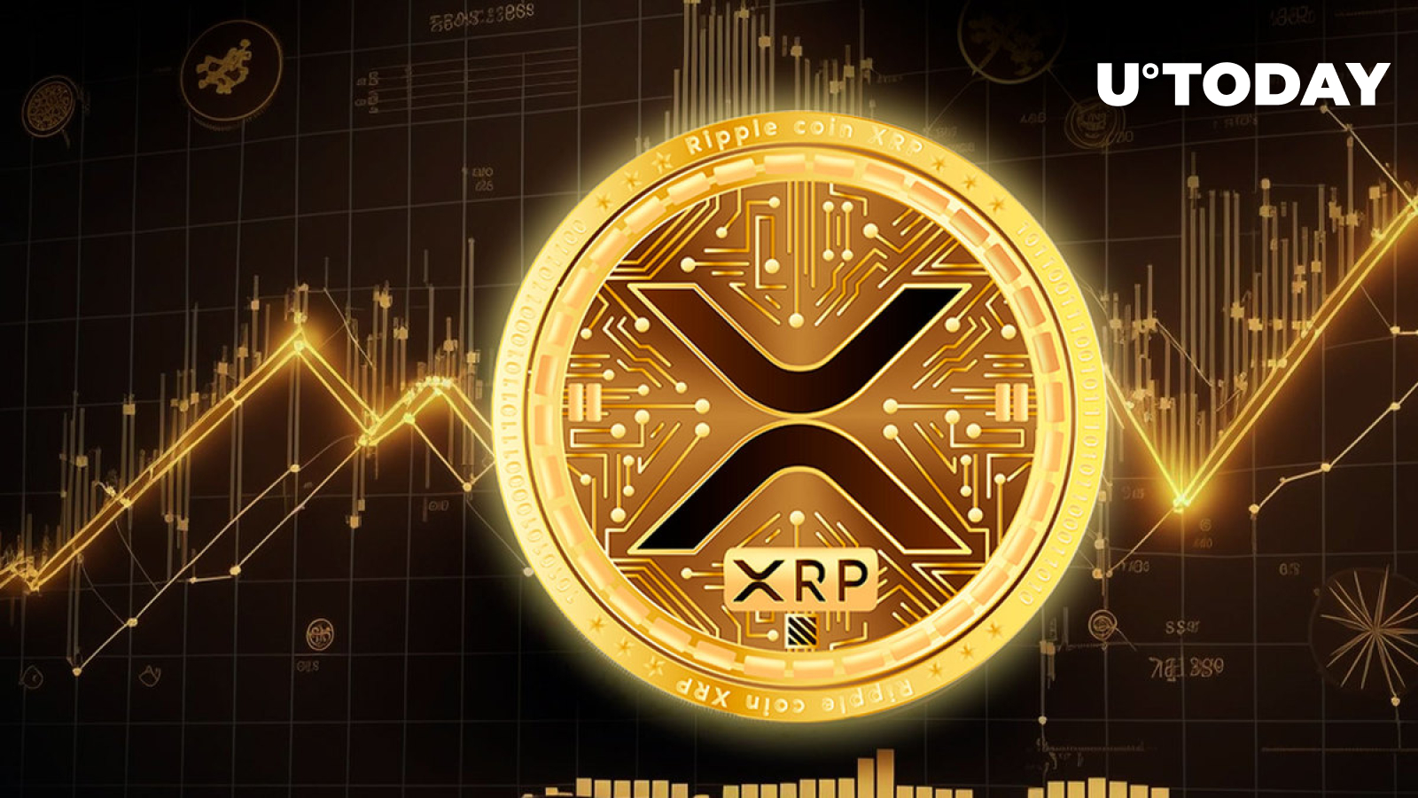 XRP: More Businesses Now Accepting Direct XRP Payments