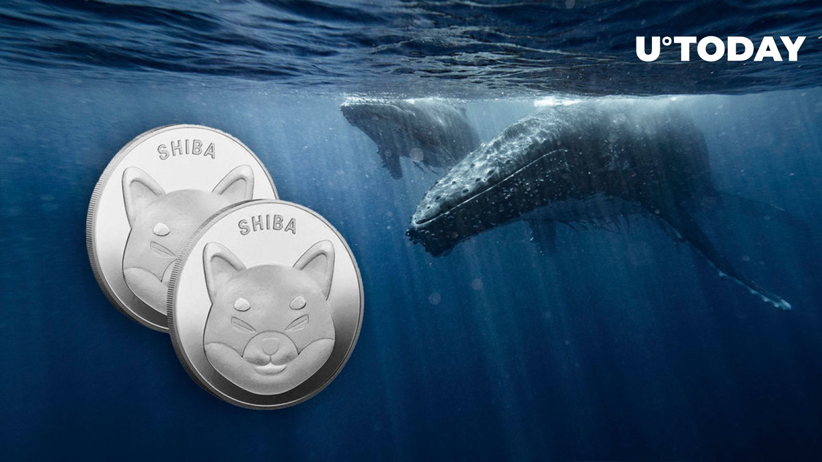 Did Shiba Inu (SHIB) Whales Go Extinct? Bizarre Data Raises Questions