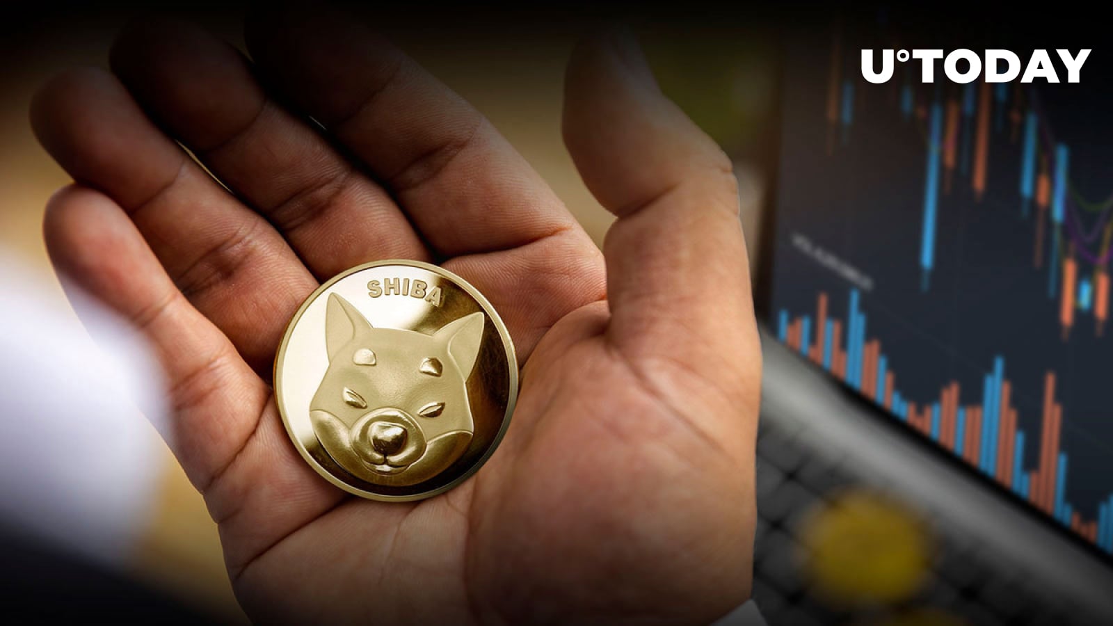 SHIB Circulating Supply Will Definitely Decrease, SHIB Member Says, But What About Price?