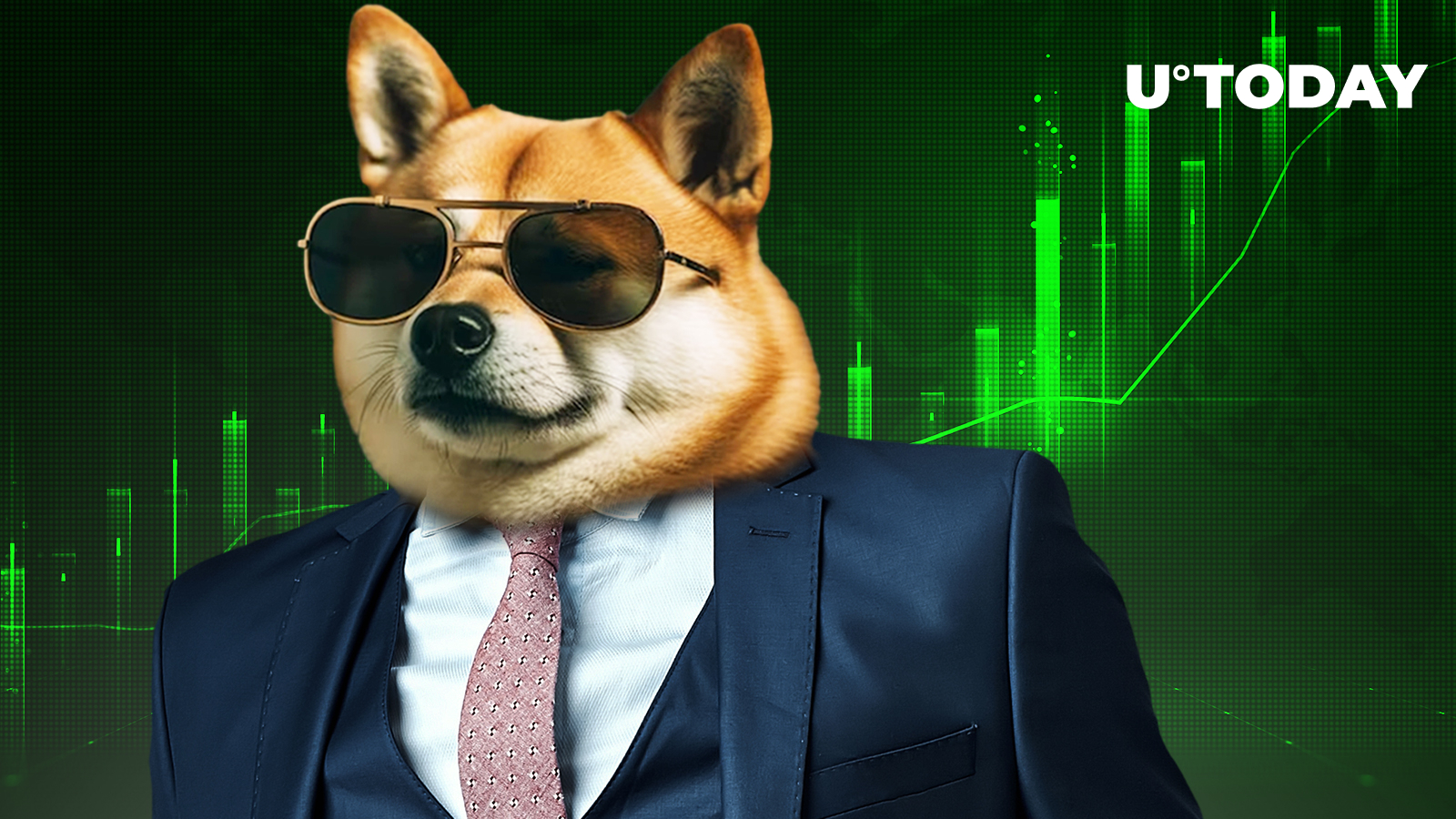 Large Shiba Inu (SHIB) Transactions Witness Jaw-Dropping 600% Surge Overnight