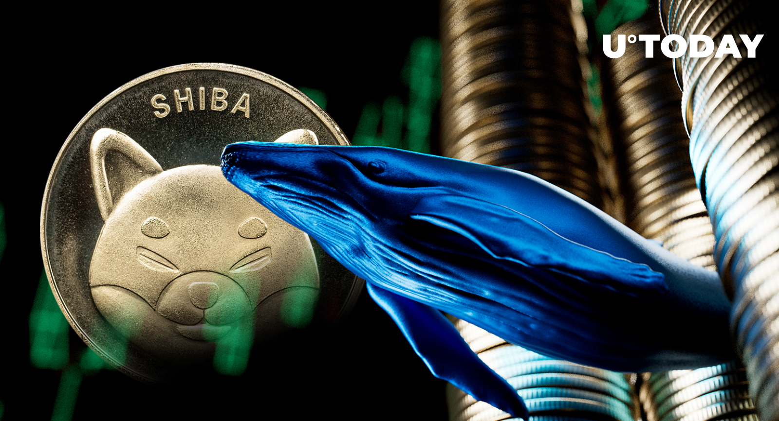 Shiba Inu Whales Buy 6.5 Trillion SHIB Day After Shibarium Launch Shiba Inu Whales Buy 6.5 Trillion SHIB Day After Shibarium Launch