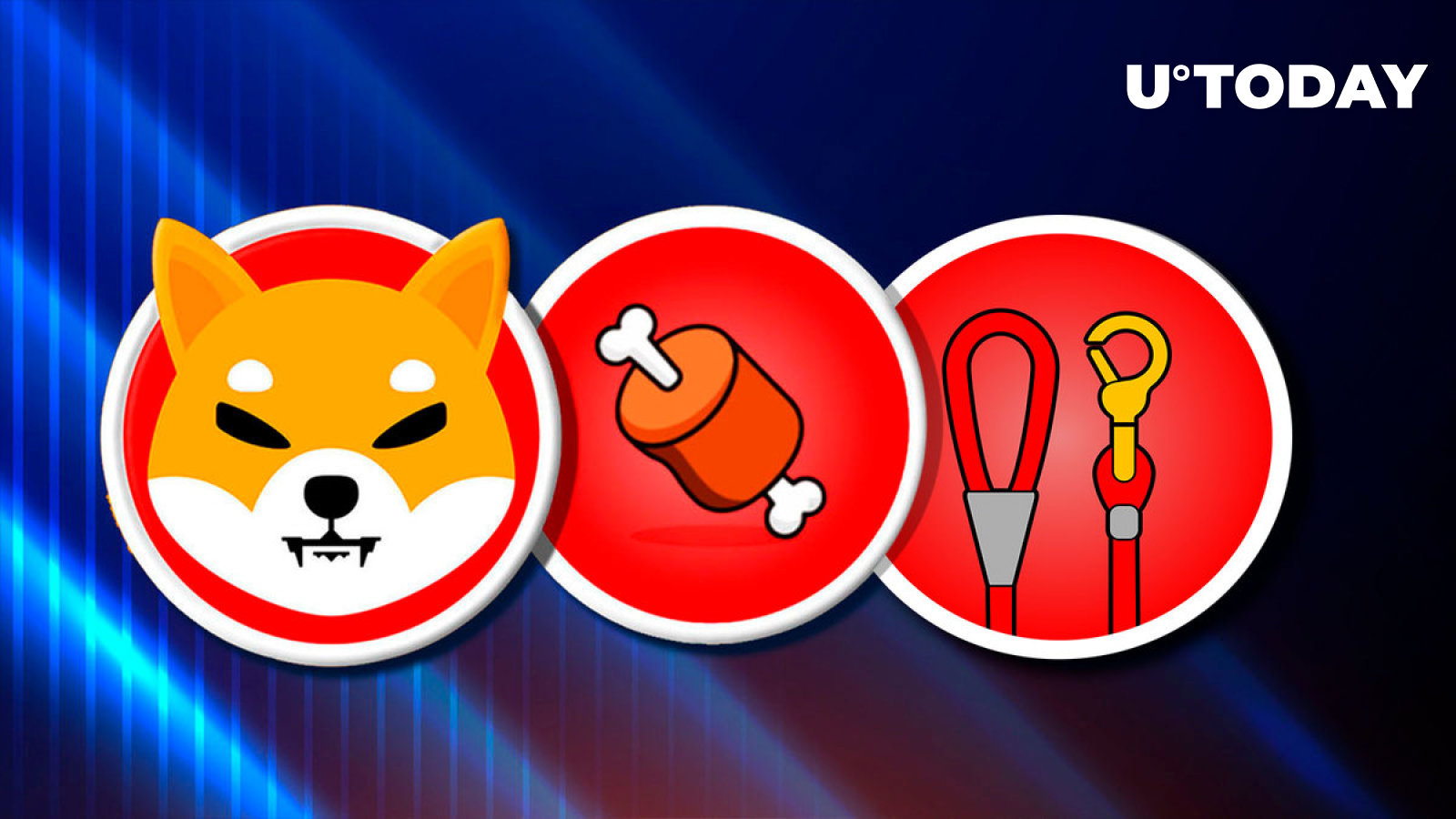 Shiba Inu Team Says Journey Just Starting; BONE, SHIB, LEASH to Benefit