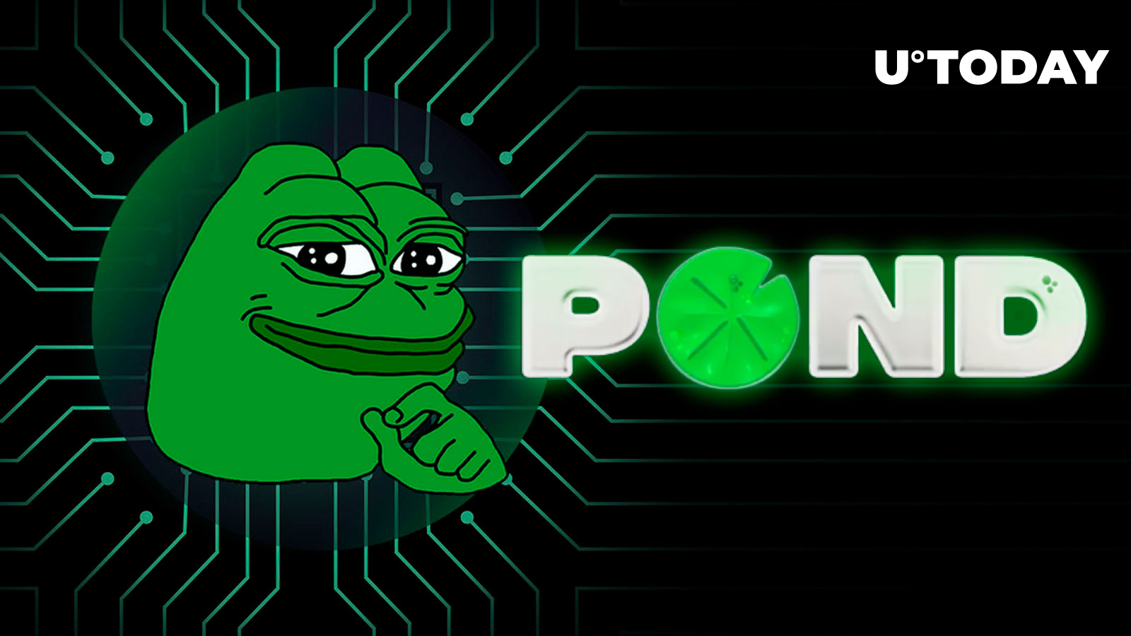 PEPE Exodus: 3 Wallets Buy $965K in PNDC
