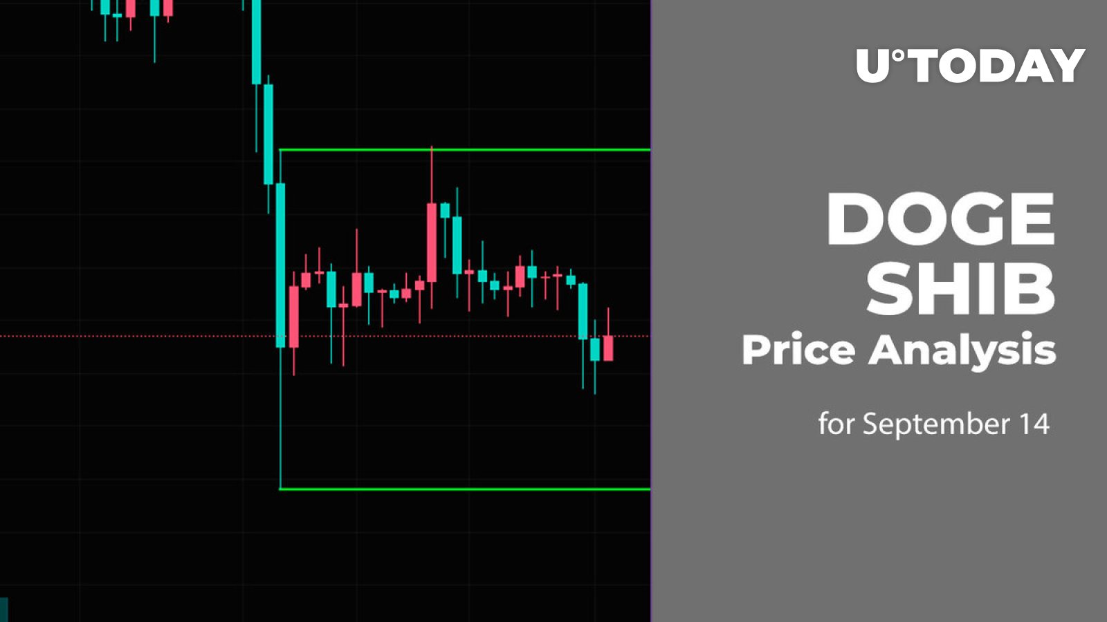 DOGE and SHIB Price Analysis for September 14