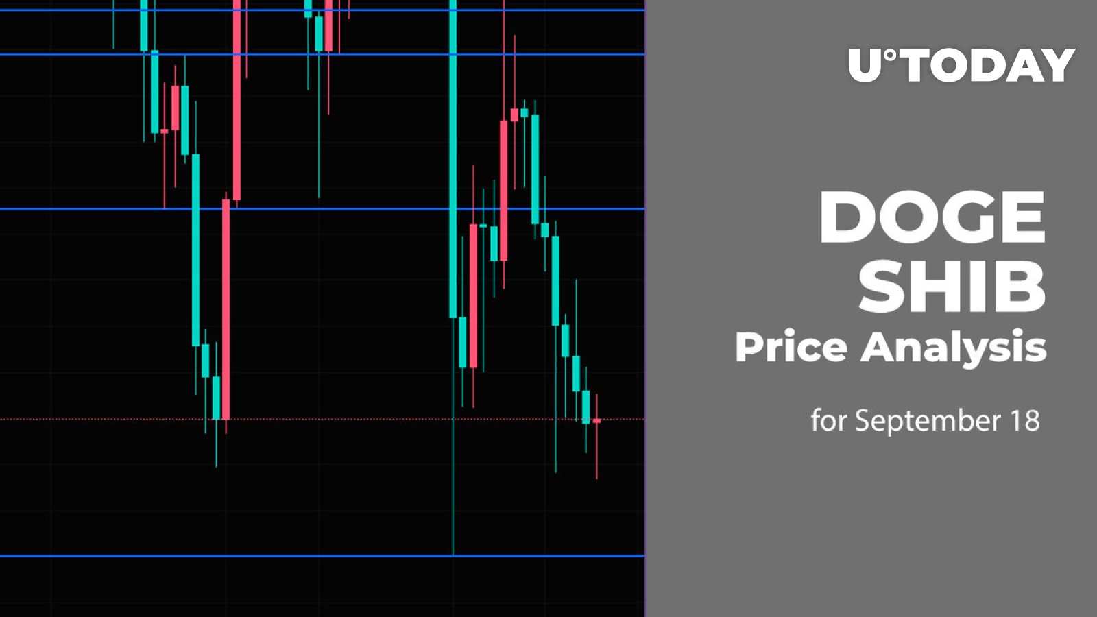 DOGE and SHIB Price Analysis for September 18