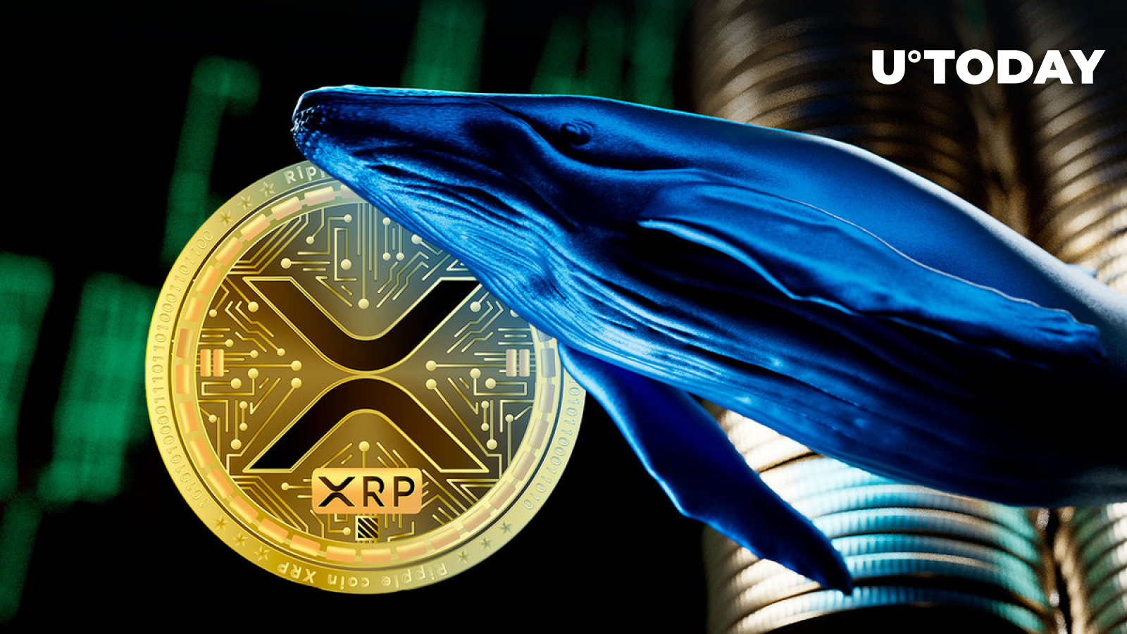 Millions of XRP Shifted in Big Whale Transaction, Here’s Endpoint