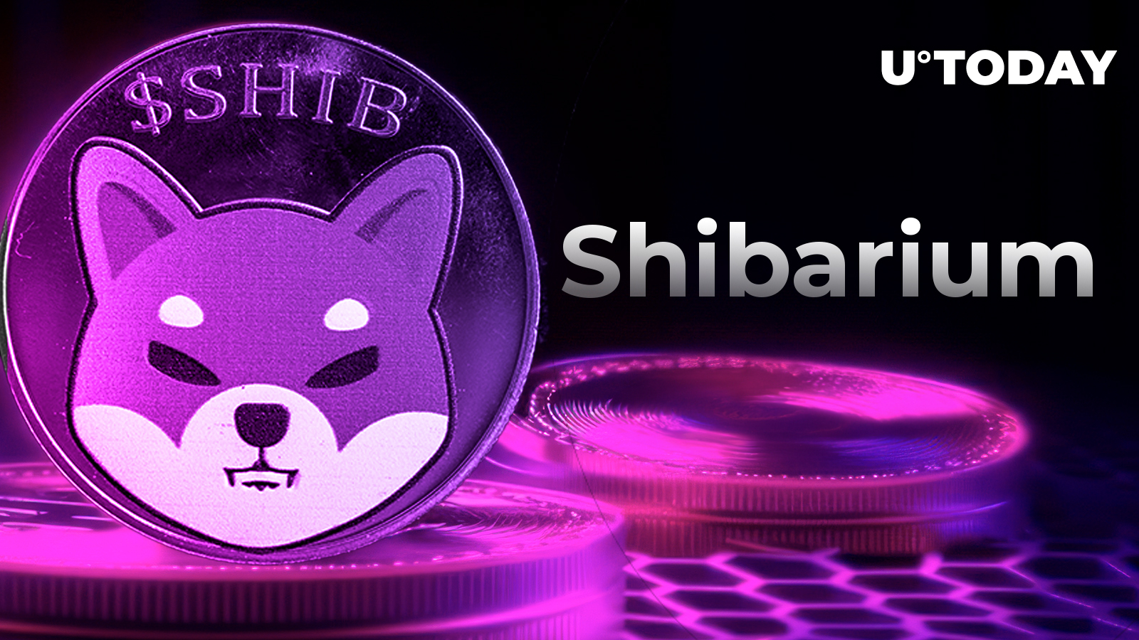 Shiba Inu (SHIB) Revolution: Shibarium Node Provider Unleashes