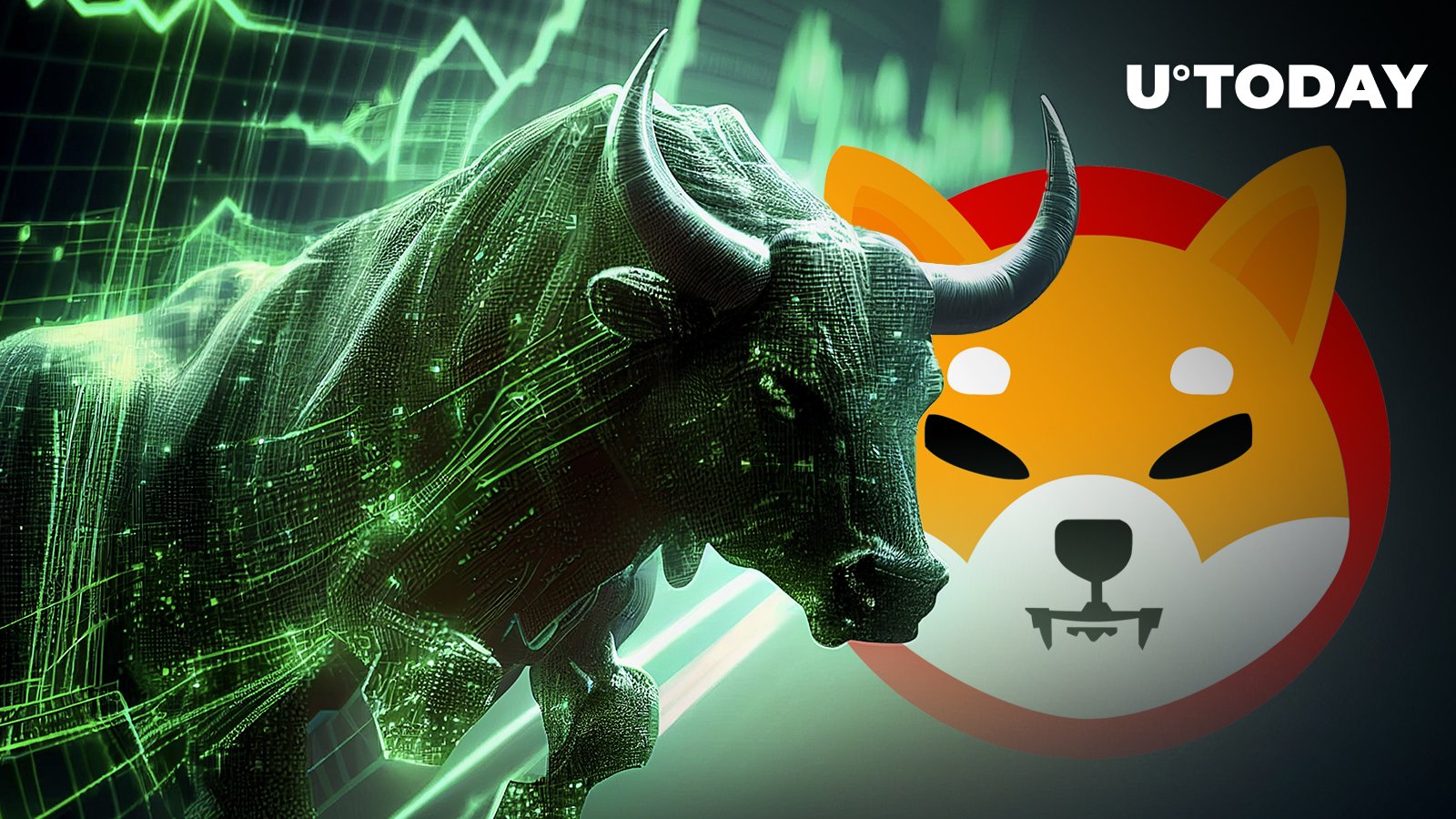 Shiba Inu Official Reveals What to Expect From SHIB in Next Bull Cycle