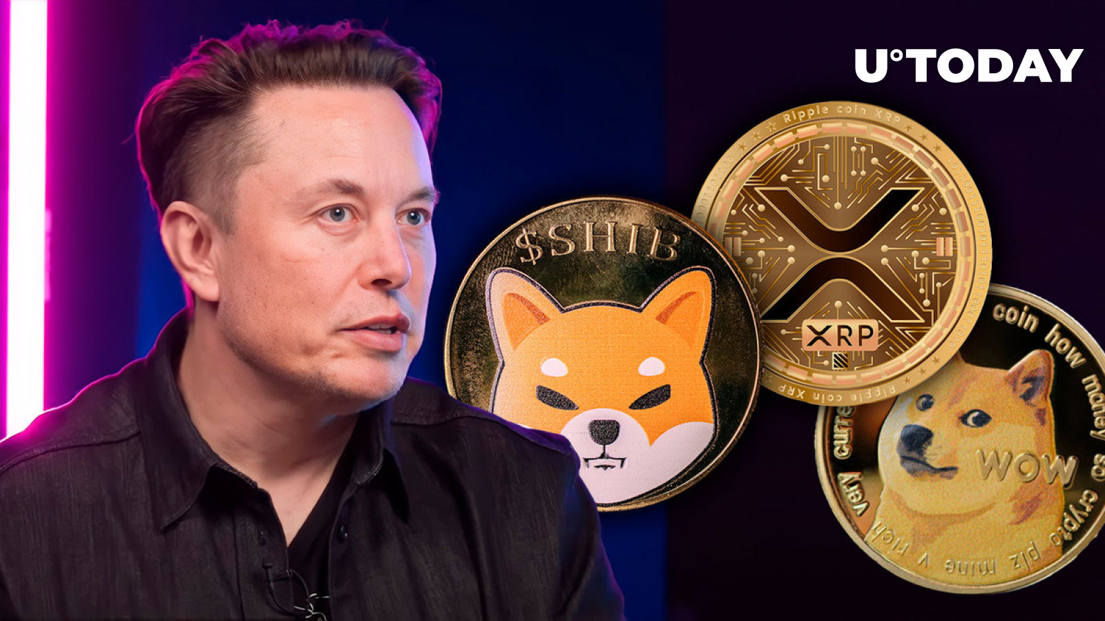 Elon Musk Triggers Reaction of DOGE, SHIB, XRP Armies With His Tweet